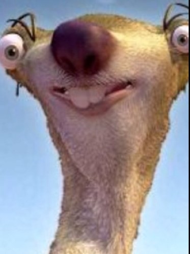 oilá
