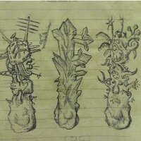 Fima Rotter (@fimarotter) 's Twitter Profile