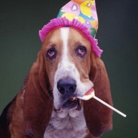 Original_Noogie's profile picture. from right here. my family apparently did all the travelling before I was born