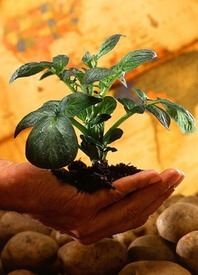 Protecting the environment. Growing your food. Preserving our family farms; Wisconsin Farmers conserving and sustaining the land.