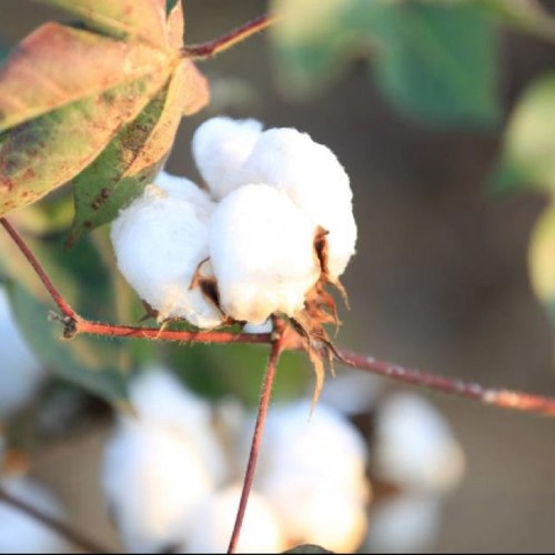 sanders706's profile picture. 