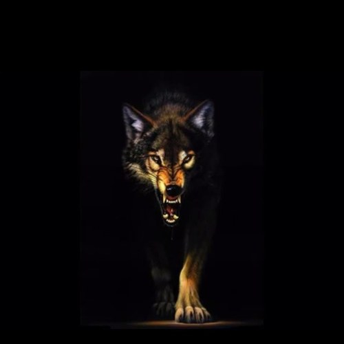 toth28456413's profile picture. 