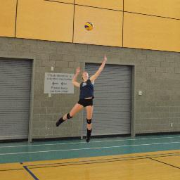 I Play Elite Volleyball in Calgary as a Setter.
Provincial Div 1 Gold medal Champion in 2012 and Provincial Bronze medalist in beach 2012 & 2014.