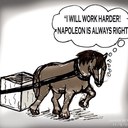 Boxer/Sarah A. - @boxer_sarah - Twitter