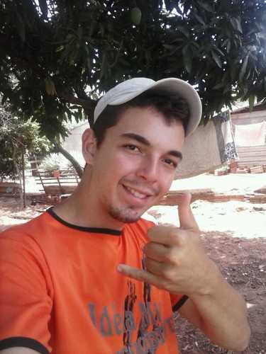 gatinho can't gosto de balada