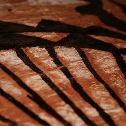 sdpacislander's profile picture. 