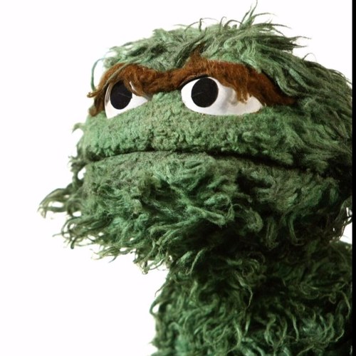 WildHighShane's profile picture. 