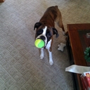 Mark Trudeau - @trude3030 - Twitter