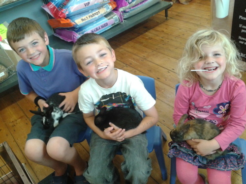 BarrowfordPet's profile picture. 