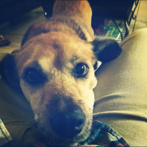 DarthLui's profile picture. Architect and sports geek.