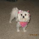 Angie Horst - @AngelaHorst2 - Twitter