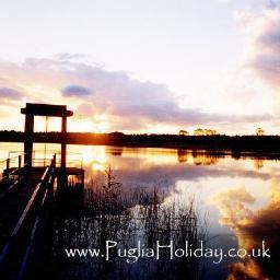 SouthItalyHouse's profile picture. We have the English language and the South of Italy in our heart. We offer English Travel guides: houses/villas for rent (with pool, beach, sea) seaside resorts