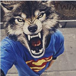 AKamazik's profile picture. 