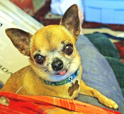 MsPoong's profile picture. I teach Algebra, Honors Algebra and Algebra Support.