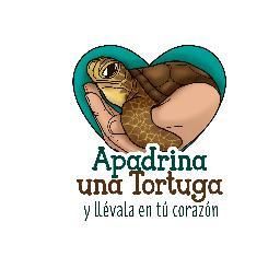 Somos una gran red de padrinos, interesados en la conservación de tortugas marinas.