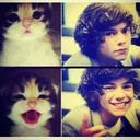 connie allison :3 - @connievargas1D - Twitter