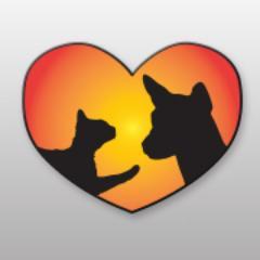 PetsTalkBack's profile picture. Have you ever wondered what your pets would say if they were able to talk back?