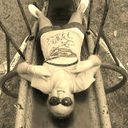 Candice Dickson♥ - @Candz101_ - Twitter