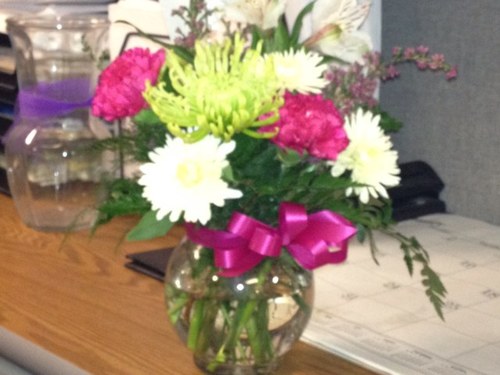 orangescorpio11's profile picture. 