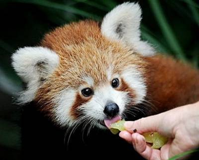 RunItAgain's profile picture. 