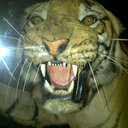 kurt singleton - @SingletonKurt - Twitter