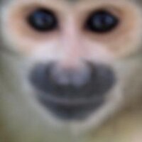 Sebastian Moss (@sebmoss) 's Twitter Profile
