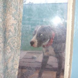 ZoeJaneLane's profile picture. 