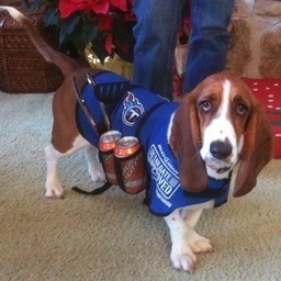 jgallaher13's profile picture. 