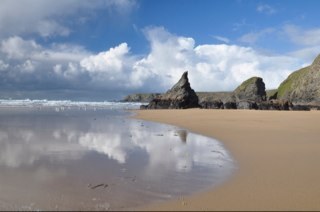 poplarcombe's profile picture. 