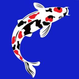 Design, Sales, Installation & Service of all aquatic features - inclusive of Aquariums (Freshwater, Saltwater, & Reef Systems) Water Gardens & Ponds