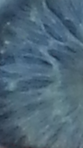 jyjmartinez's profile picture. 