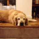 mandy horne - @horne_mandy - Twitter