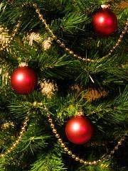 ChristmasStream's profile picture. Christmas, Christmas tree, Christmas song, Christmas card, Santa Claus, Reindeer, Christmas decoration, Christmas present, snowman, jingle bells, elves.