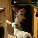 Tracey Floyd - @TraceyEFloyd - Twitter