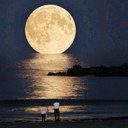 THE MOON (@0557704) Twitter