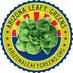 Arizona Leafy Greens (@azleafygreens) Twitter profile photo