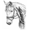 Tamer Samir - @samir_tamer - Twitter