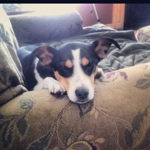 Zazenzoe's profile picture. Instructional Designer at RSM US LLC & mother of two amazing human beings