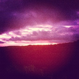 julieparadiso's profile picture. 