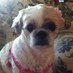 Kelly Beasley (@kellybeasley83) Twitter profile photo