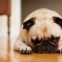 Ahmed Refaay - @smokerman2009 - Twitter