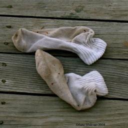 sockonthefloor's profile picture. Just a dirty sock hoping to be washed.
