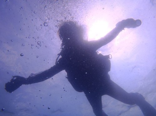 JW Japan 日本 Ocean Diving Photo Bible Япония Свидетели Иговы Библия