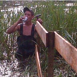 DieselBob_73's profile picture. 