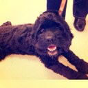 Amelia Jordan - @AmeliaJordan16 - Twitter