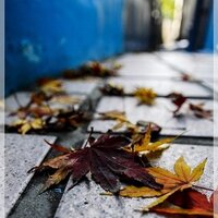 김한식 (@sik2675) 's Twitter Profile