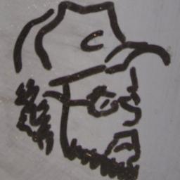 paxitus's profile picture. Watching the wheels go 'round and 'round