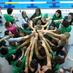 Cary High Swim Team (@impsswimming) Twitter profile photo