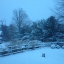 Jen Willis - @jena90 - Twitter