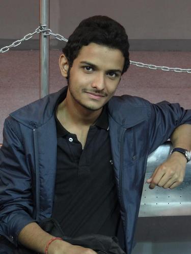 well here .... i m a newbie... but i m expert in professional field of social media expert.
